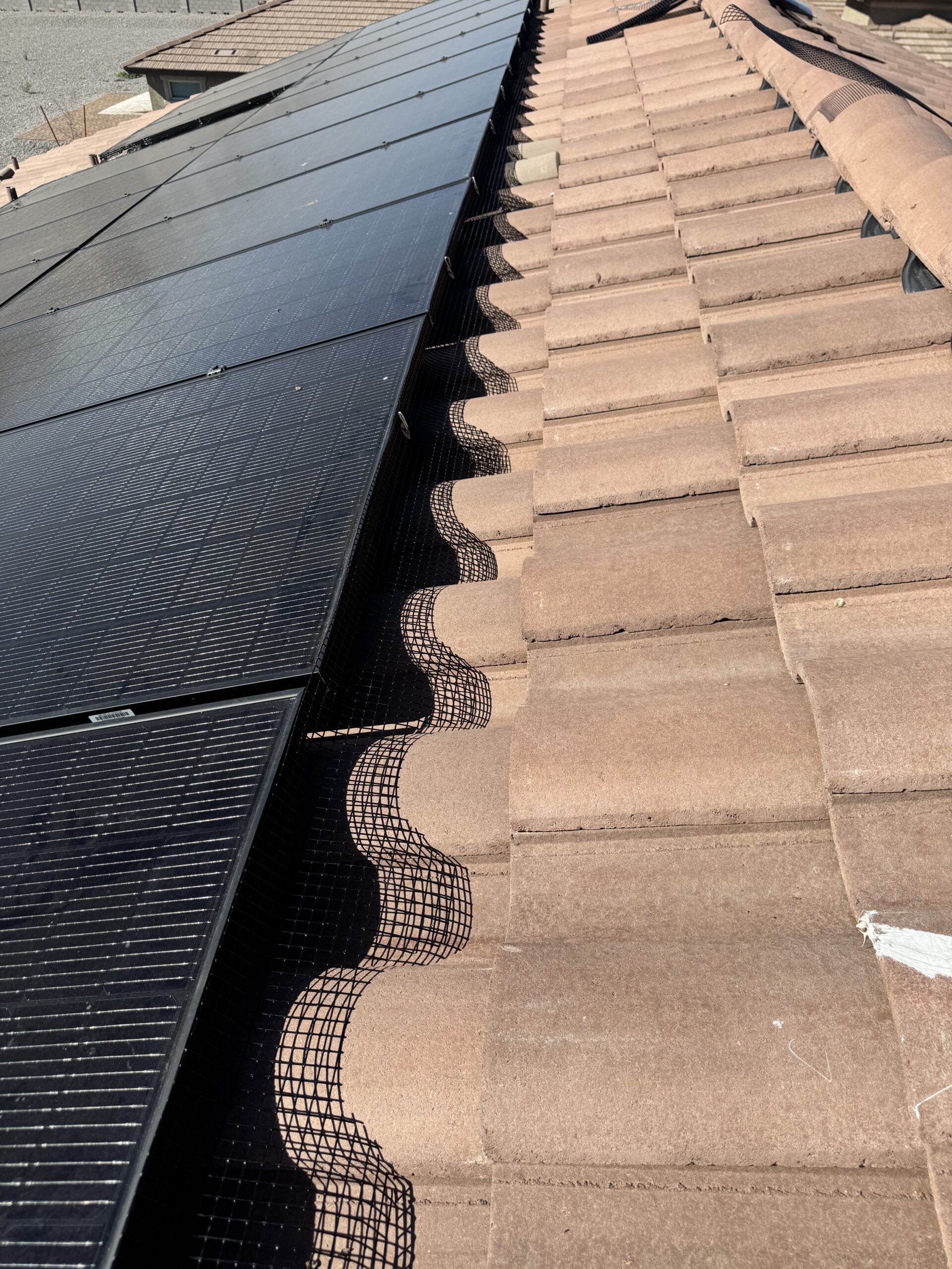 Solar Panel Pigeon Proofing-22